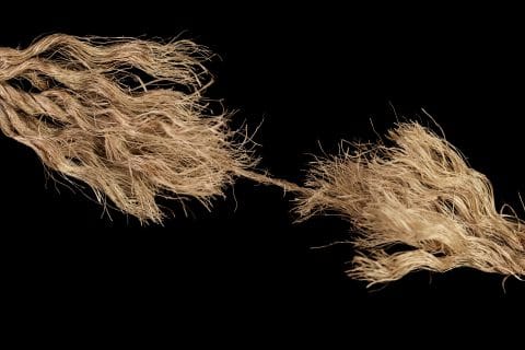 Rope held together by a last strand ready to snap. Concept of dangerous stress or stressful situation like divorce separation, deadlines, failure, or tension.